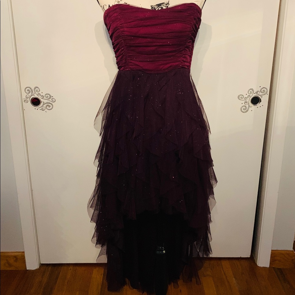 Beautiful Semi-Sparkly Purple High Low Dress
